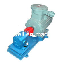 CE Approved DHB8/3.6 Boiler Ignition Gear Pump